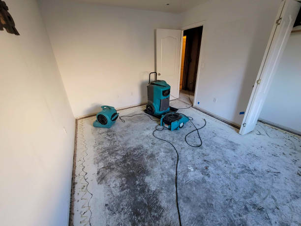 Best Flooded house restoration  in Hollis, OK