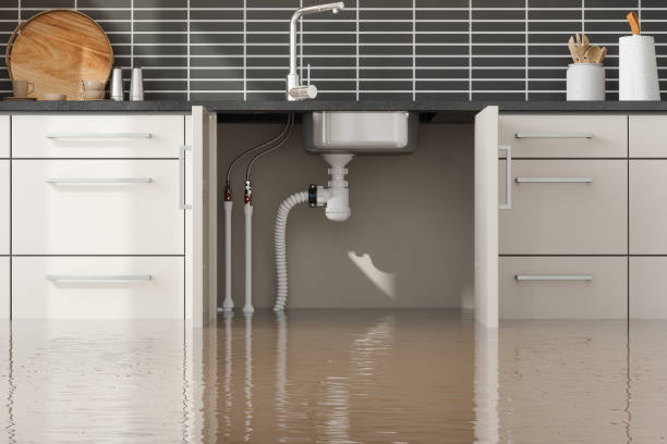 Best Sewage cleanup and water damage restoration  in Hollis, OK