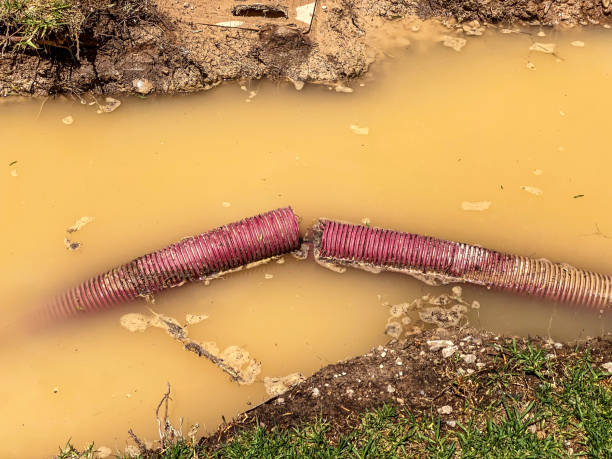 Best Local water damage restoration  in Hollis, OK