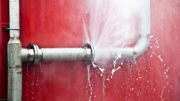 Best Mold removal after water damage  in Hollis, OK